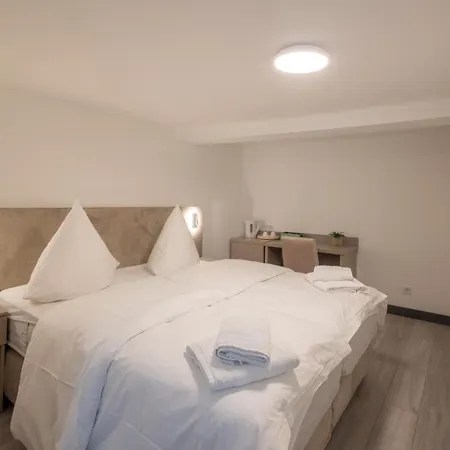 Hotel Johannis Berg Bad Hombourg